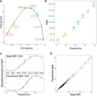 Intracellular and Intercellular Gene Regulatory Network Inference From Time-Course Individual RNA-Seq